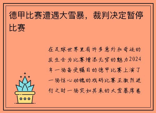 德甲比赛遭遇大雪暴，裁判决定暂停比赛